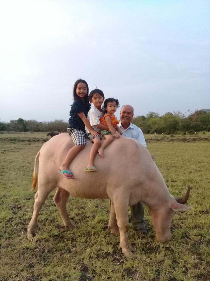Wanlapa Farmstay Ban Khok Krathiam Exteriér fotografie
