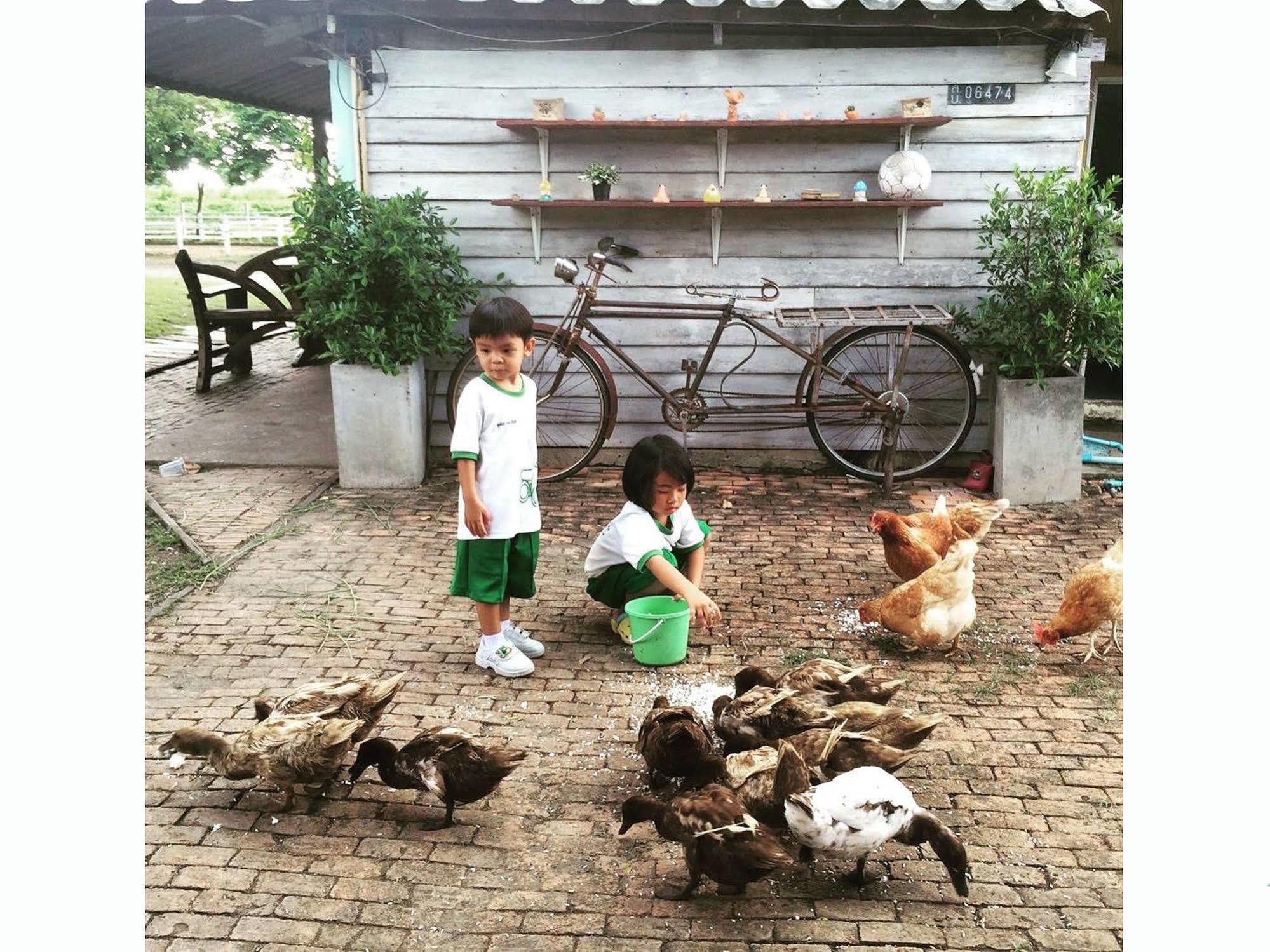 Wanlapa Farmstay Ban Khok Krathiam Exteriér fotografie